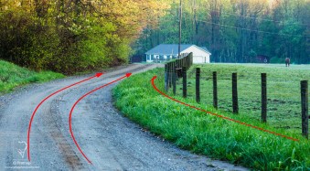 Photo Composition Tips