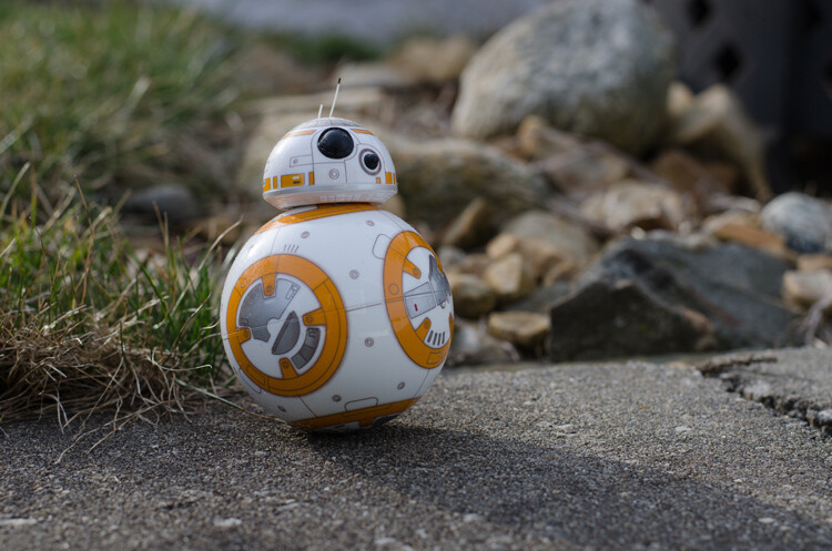 Image: Shot a f/5.6.