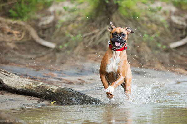 ArticleImage2.jpg ArticleImage2