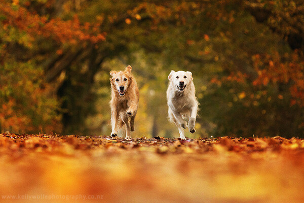 ArticleImage6.jpg ArticleImage6