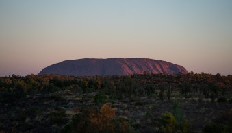 Patience and Photography