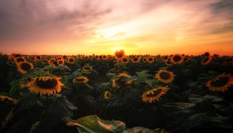 How to Get Foregrounds Right in Photography