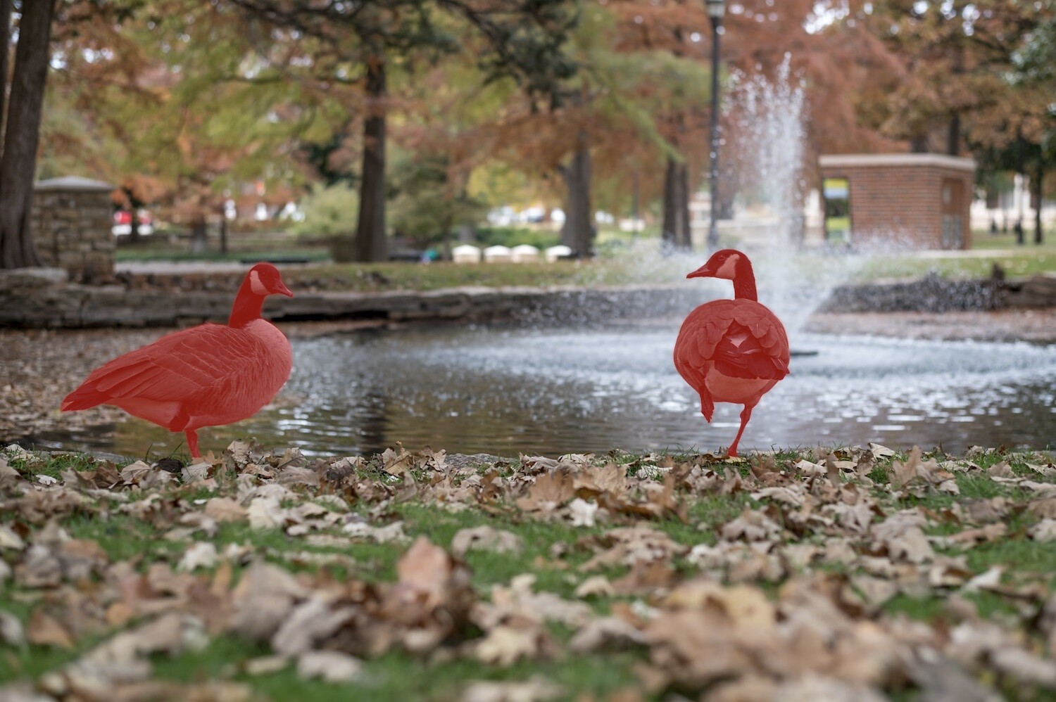 Lightroom Object Selection, two geese near a pond with red mask overlays on top of each one.