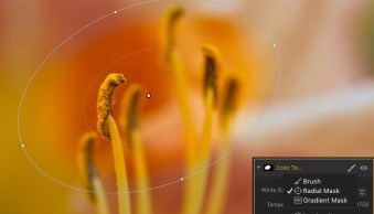 How to use Filter Masks in Luminar for Powerful Local Adjustments