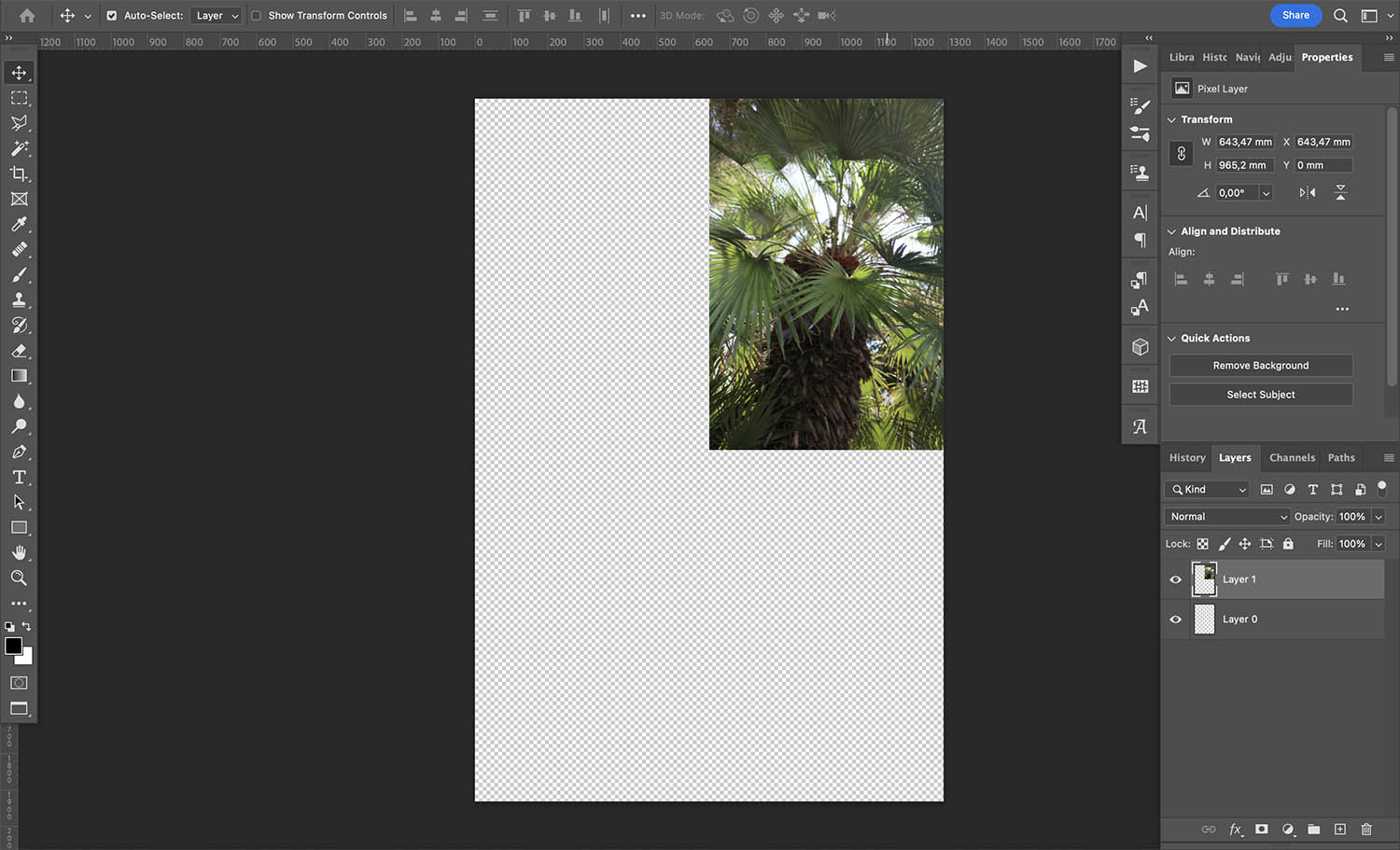 How to mirror an image in Photoshop