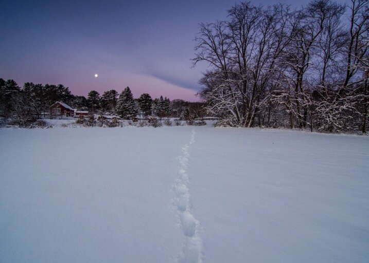 Snow leading lines - The dPS Absolute Beginner&rsquo;s Guide to Photography